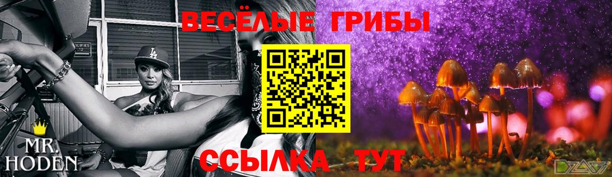 Галлюциногенные грибы GOLDEN TEACHER Карталы