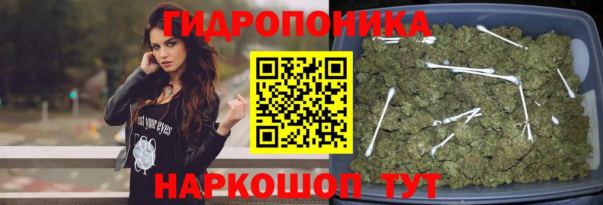 Канабис семена Карталы